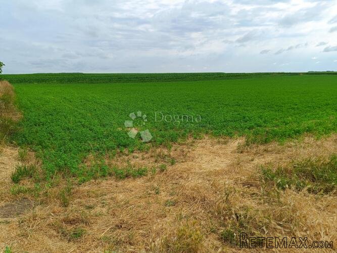 INVESTICIJSKA PRILIKA! Građevinsko zemljište 8.505 m² u Boro - 3
