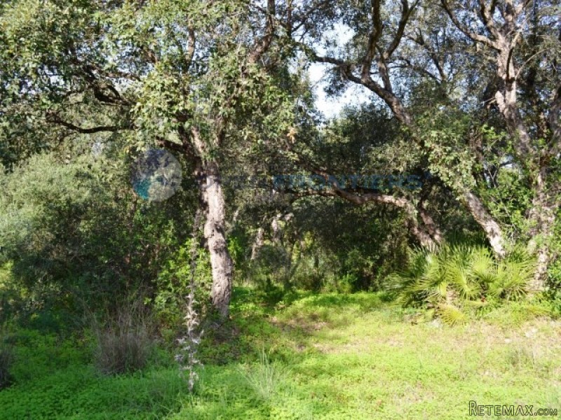 Sotogrande Kings & Queens Plot. Front..