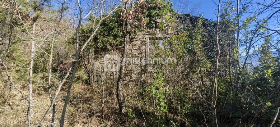 Istra, Pazin, 128m2, 2 kuće za adaptaciju na velikoj.. - 2