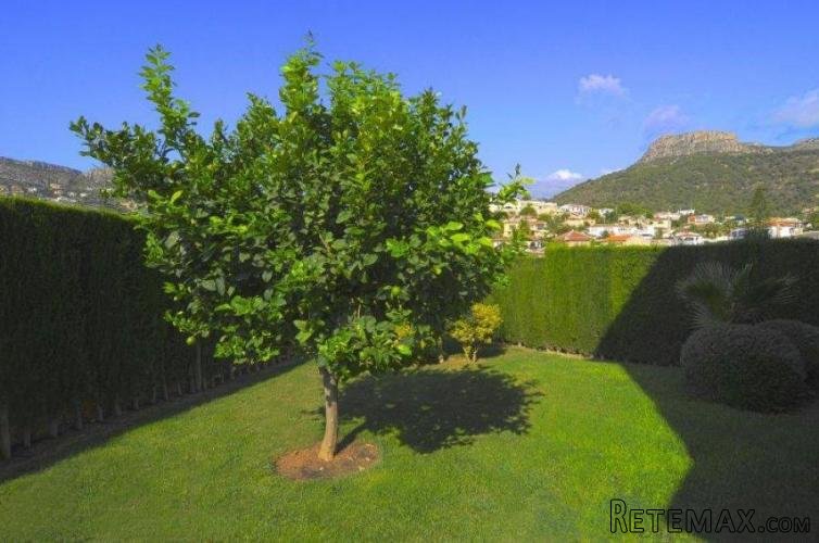 Bonito bungalow situado cerca del pueblo , con piscina.. - 3
