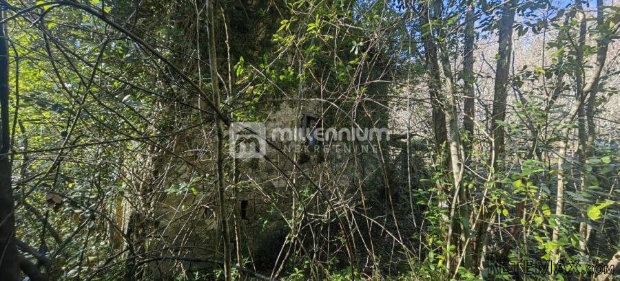 Istra, Pazin, 128m2, 2 kuće za adaptaciju na velikoj.. - 3