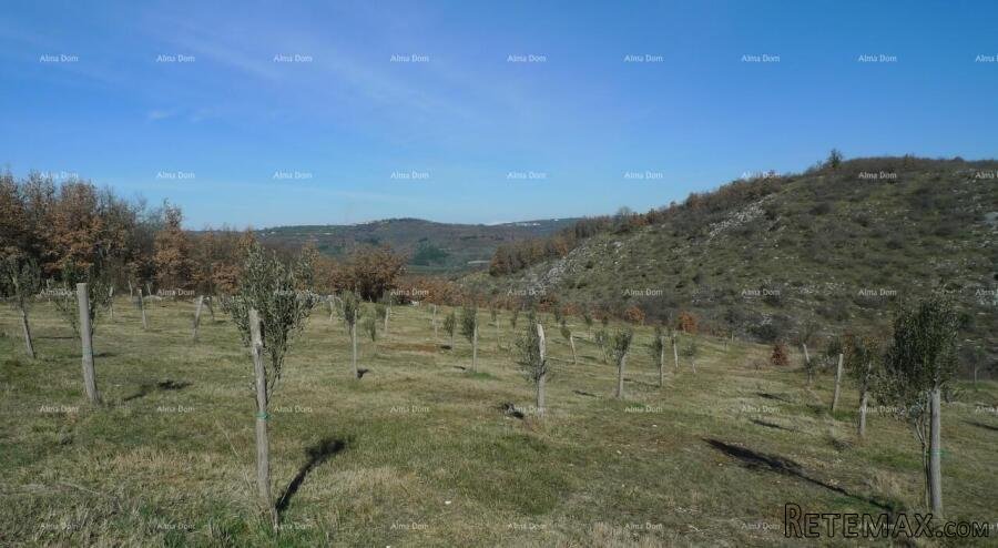 Momjan – Građevinsko zemljište 750 m2 - 4