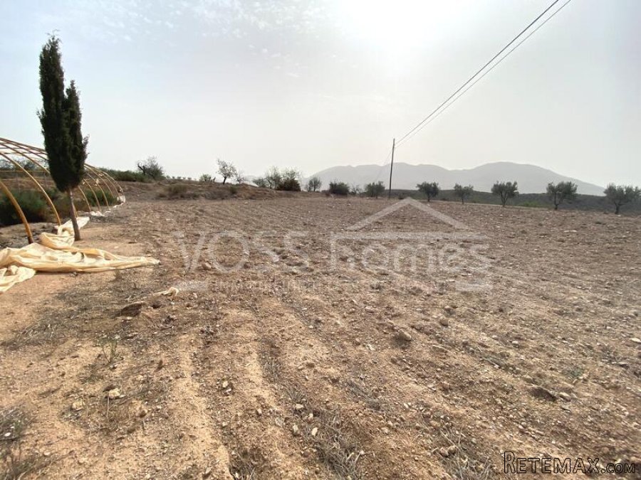 RUSTIC LAND for sale which has a large 400m2 work shop.. - 5
