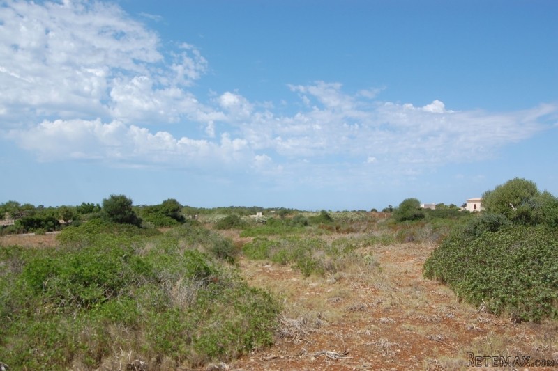 Plot close to the lighthouse of cap..