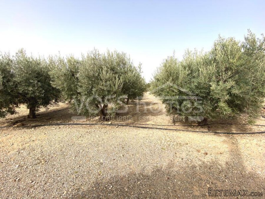 RUSTIC LAND for sale which has a large 400m2 work shop.. - 10