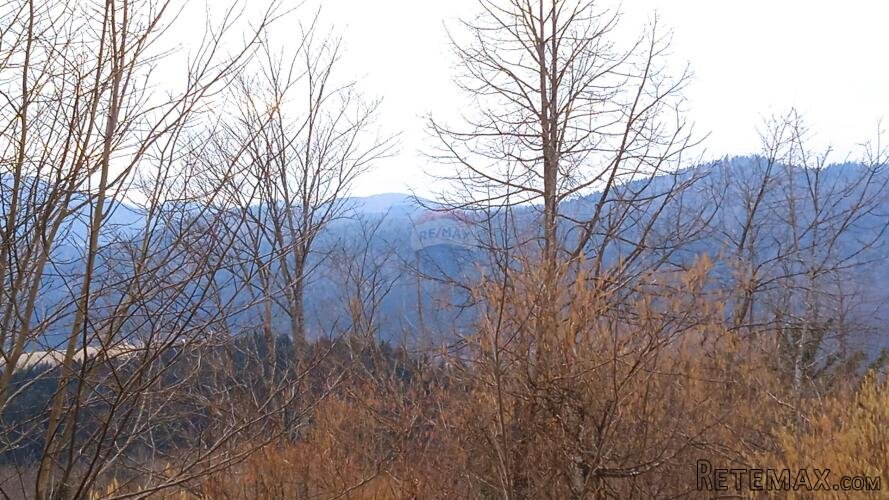 Vrbovsko - kuća, Gorski kotar - 2