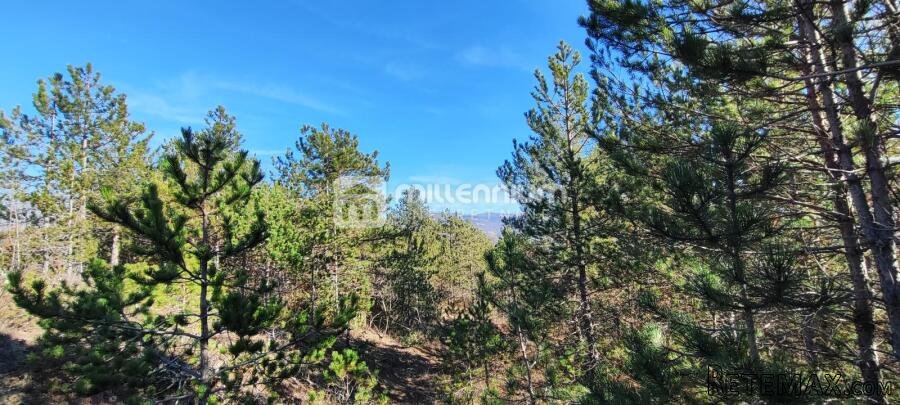 Istra, okolica Pazina, zemljište, 214.230m2 - 2