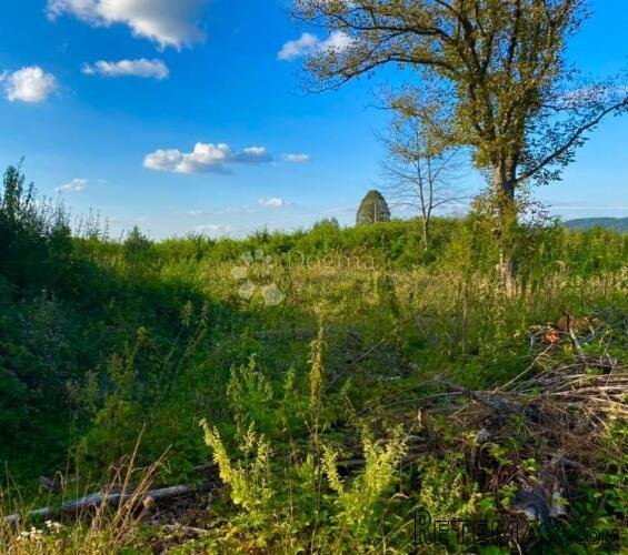 ZEMLJIŠTE 3460 M2 NEDALEKO PLITVIČKIH JEZERA - 2