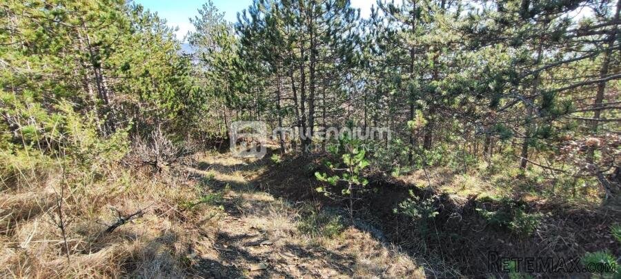 Istra, okolica Pazina, zemljište, 214.230m2 - 3