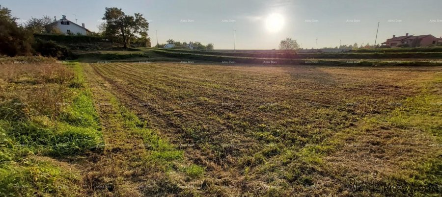 Građevinsko zemljište Pazin - 3.153m2 - 5