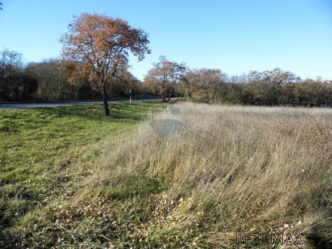 BALE, GRAĐEVINSKO I POLJOPRIVREDNO ZEMLJIŠTE 3630m2 - 3