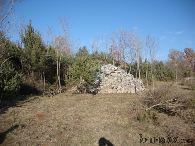 ISTRA, VODNJAN, poljoprivredno zemljište u mirnom okruženju - 4