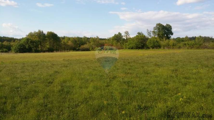 Istra, Barban, poljoprivredno zemljište - 3