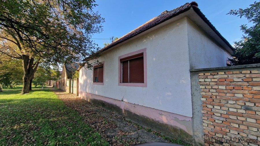 Prodajem kompetno seosko domacinstvo-Sakule - 2