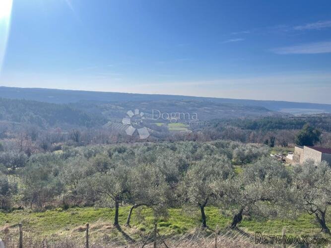 DIVOTA OD ŽIVOTA - bajkovita Istra