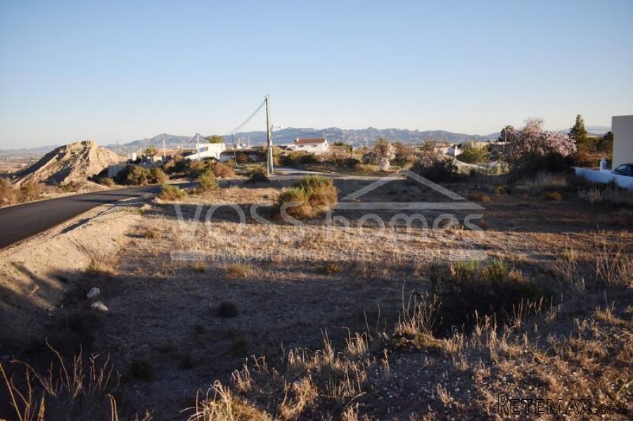 RESERVED MARCH 2022 WITH VOSS HOMES - An urban building..