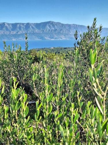 POLJOPRIVREDNO ZEMLJIŠTE NA ODLIČNOJ LOKACIJI – MIRCA, BRAČ - 3