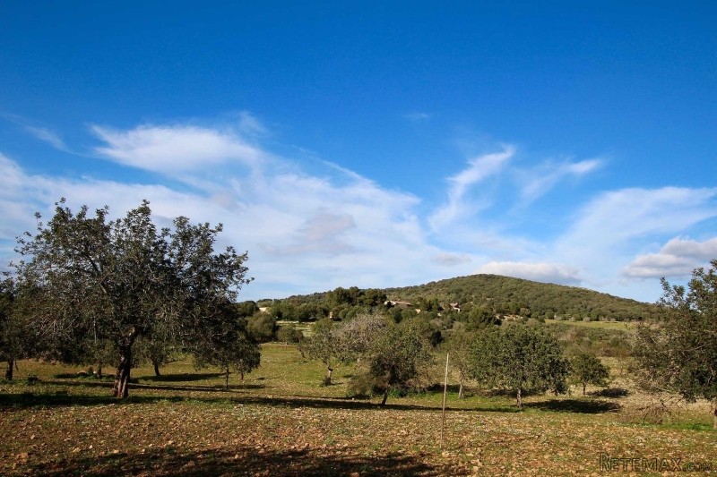 Quiet with nice view to the landscape.. - 2