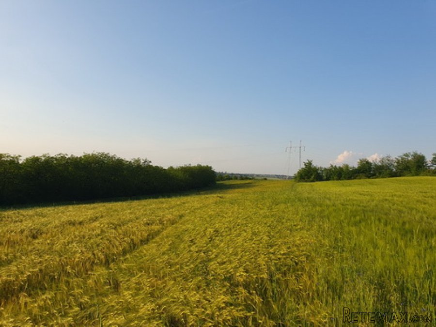 Prodajem plac 101 ar u Velikoj Moštanici opština Čukarica - 3