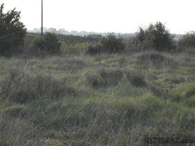 GRAĐEVINSKO ZEMLJIŠTE NA ODLIČNOJ POZICIJI - 3