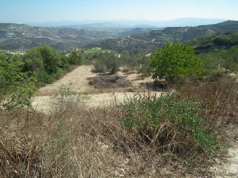 Land - Paphos - For Sale