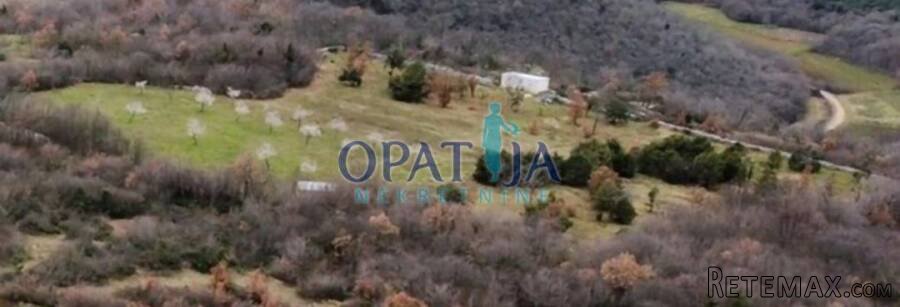 Istra - apsolutna prilika - 2 male kuće sa ukupno 21700 m2