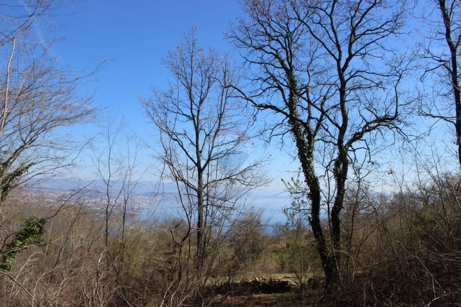 Bregi-Kožuli negrađevinsko zemljište 5562m/2
