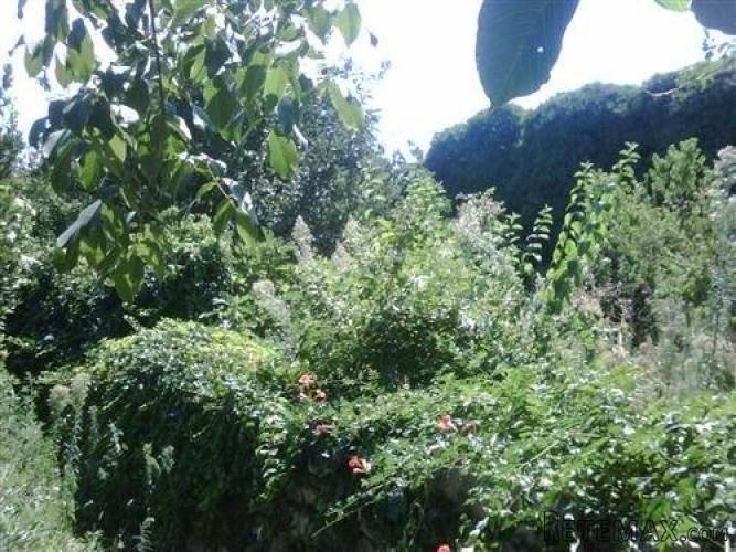 ISTRA - VODNJAN: KAMENA KUĆA U CENTRU - 3