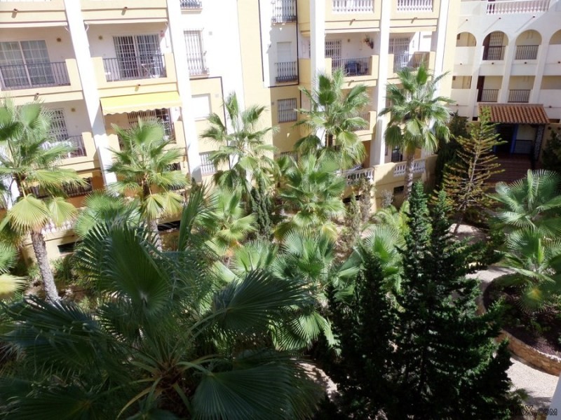 3 Bedrooms - Apartment - Alicante - For.. - 2