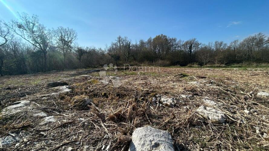 ATRAKTIVNO GRAĐEVINSKO ZEMLJIŠTE - Poreč okolica - 3