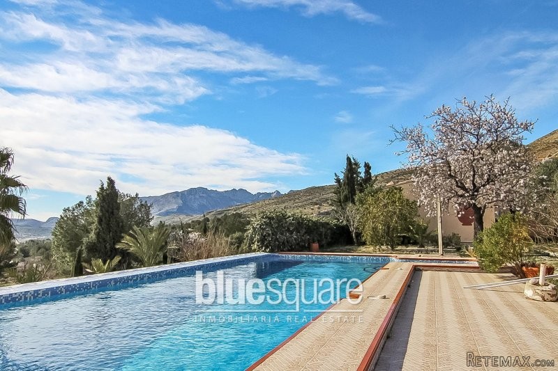 Country style finca with 20000m2 flat..