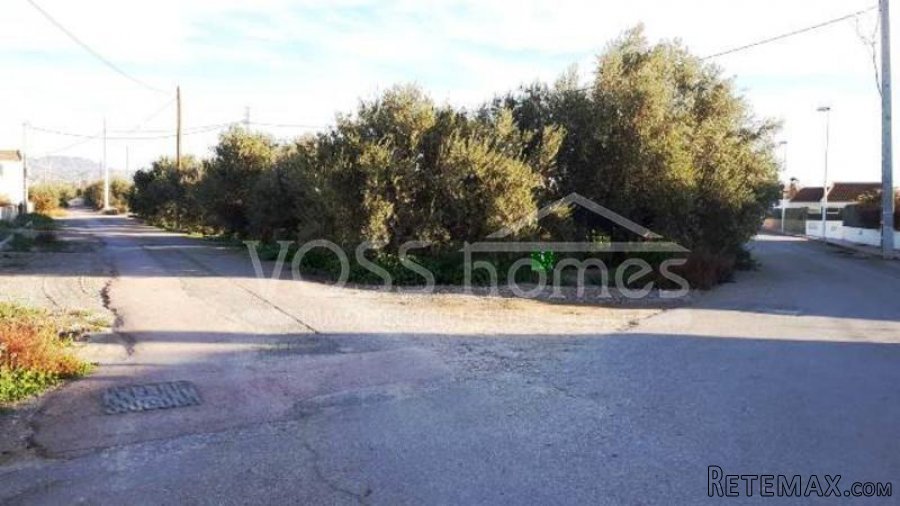 TEMPORARLY OFF THE MARKET Large plot of approx 1126m2..