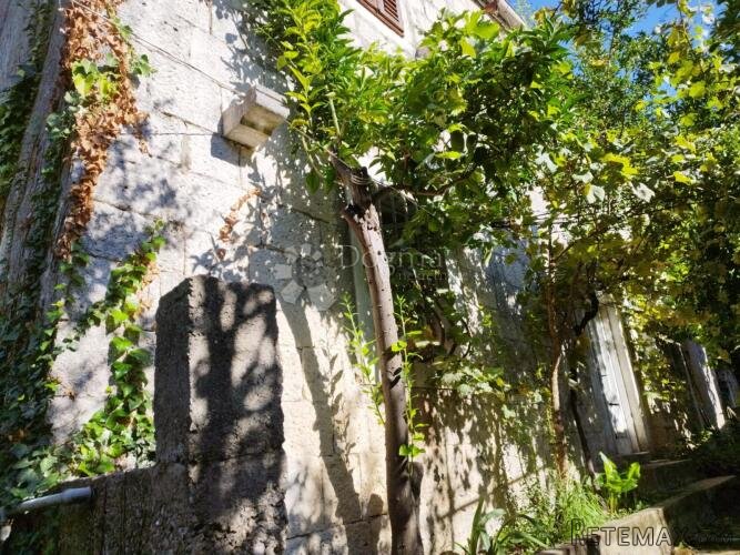 kamena kuća s velikim potencijalom samo 400 metara do mora - 2