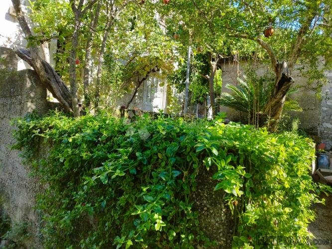 kamena kuća s velikim potencijalom samo 400 metara do mora - 3