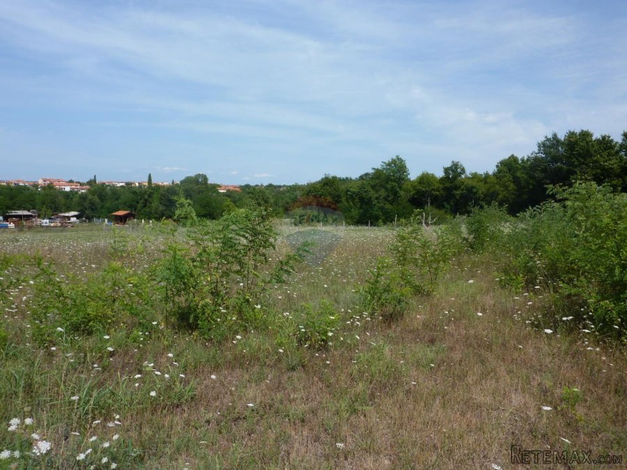 Poreč-Varvari, Lijepo poljoprivredno zemljište s pristupnim - 3