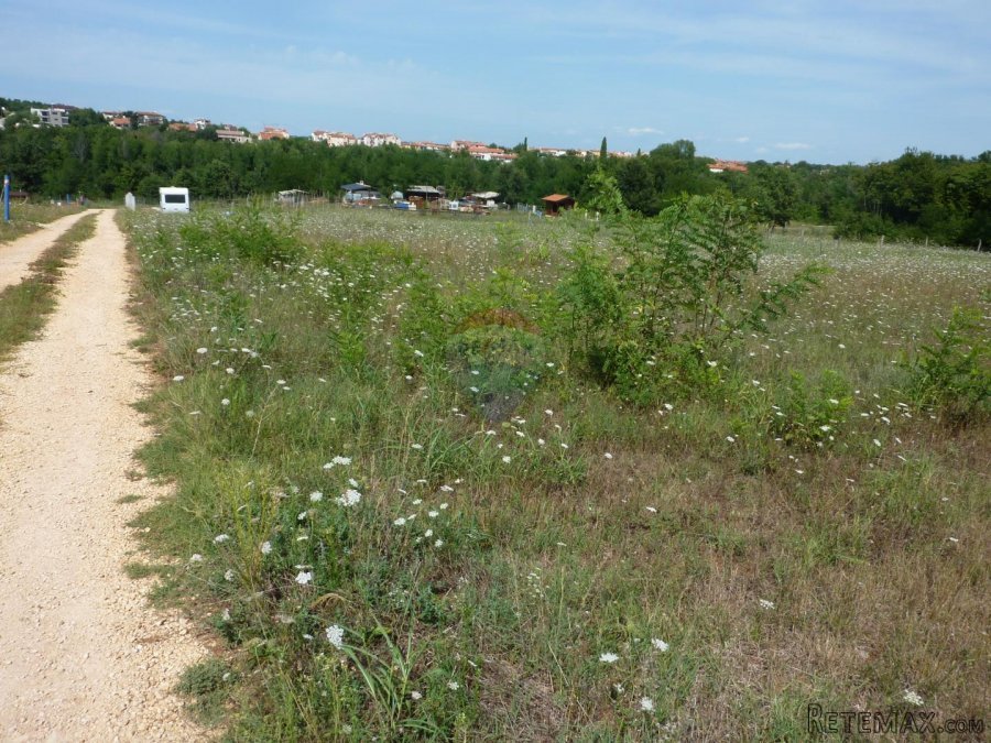 Poreč-Varvari, Lijepo poljoprivredno zemljište s pristupnim - 5