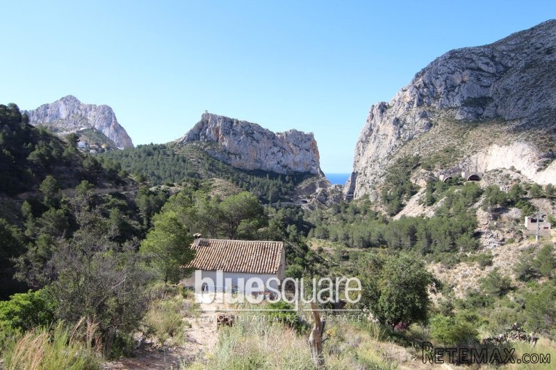 Finca of 120m2 plus a ruin on a large.. - 2