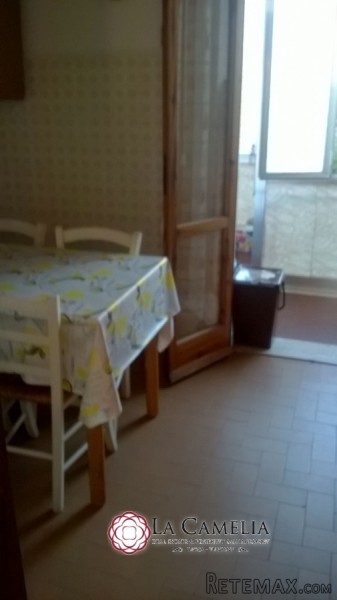 For Sale Apartment Camaiore - 2