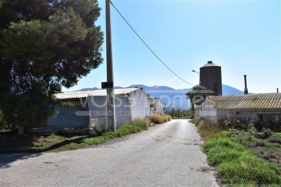 Urban plot of land of 1.500m2 with 3 old large warehouses..