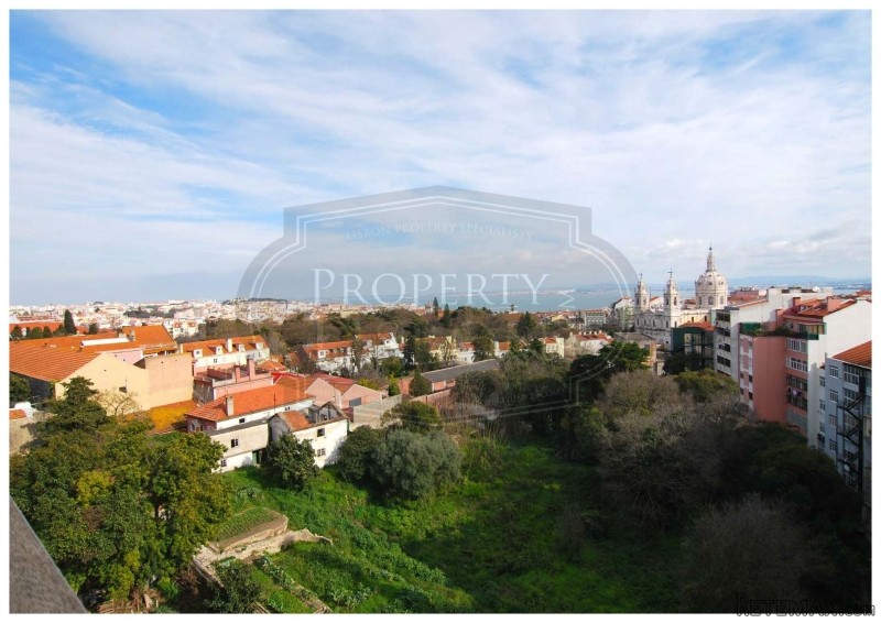 ESTRELA: Penthouse apartment 180 river.. - 2