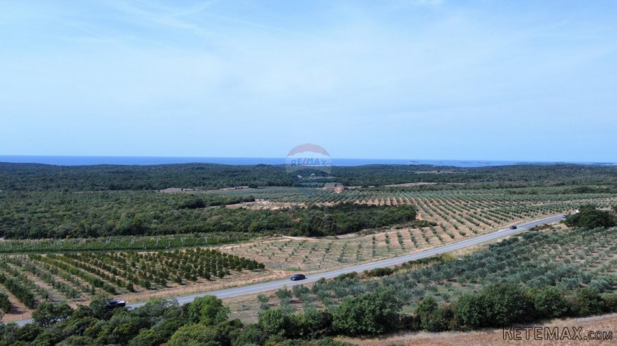 Istra - Bale - zemljište sa ucrtanom kućom - 2