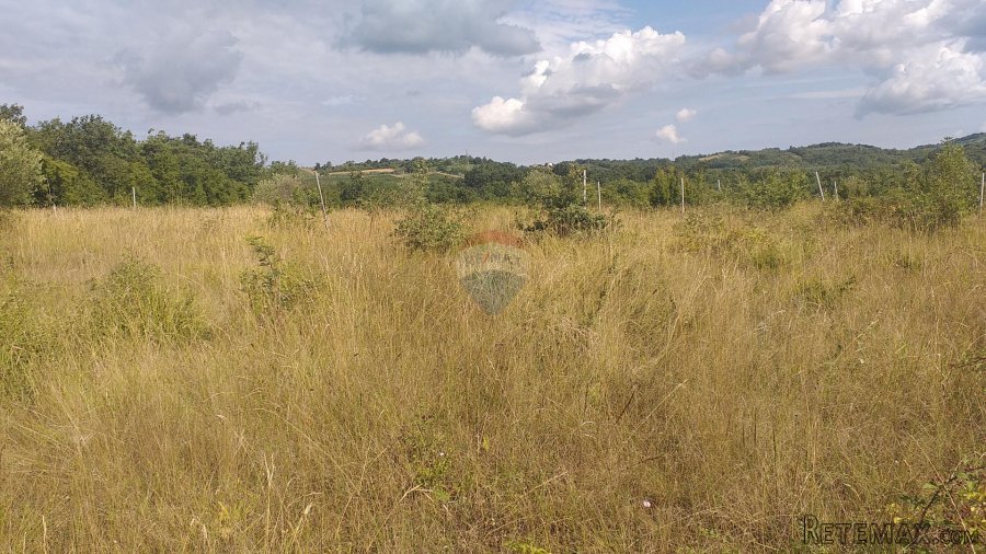 Istra, Nova Vas poljoprivredno zemljište - 2