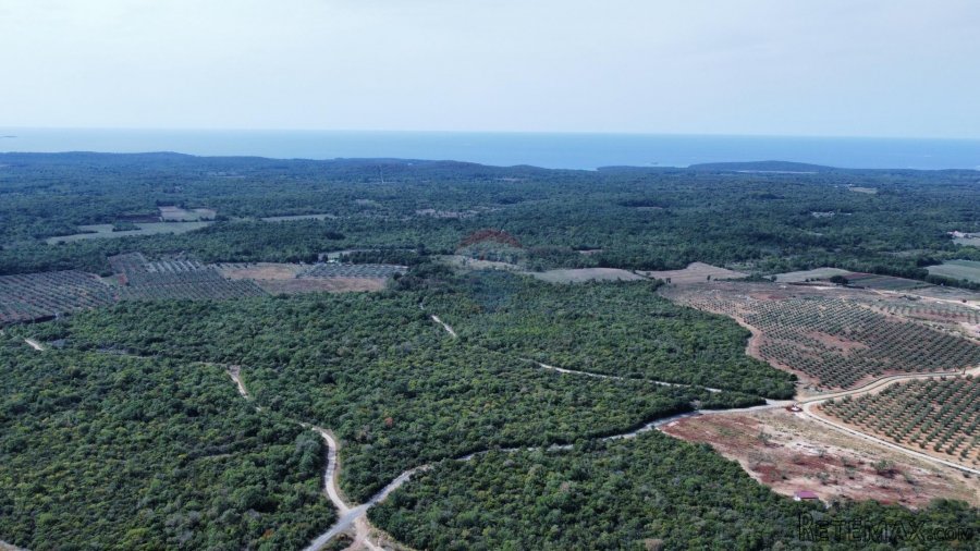 Istra - Bale - zemljište sa ucrtanom kućom - 3