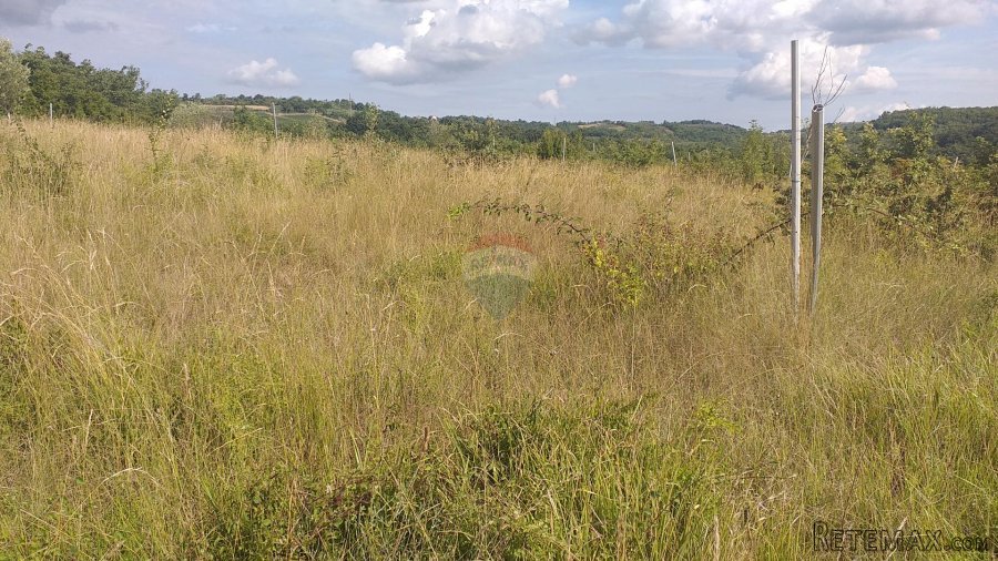 Istra, Nova Vas poljoprivredno zemljište - 3