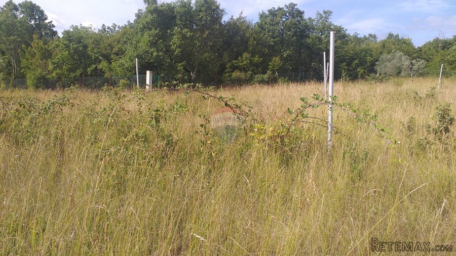 Istra, Nova Vas poljoprivredno zemljište - 5