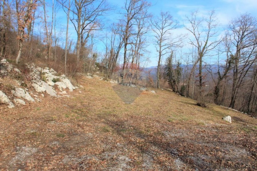 MATULJI - RUKAVAC - NEGRAĐEVINSKI TEREN 2349 m2 U BLIZINI NA