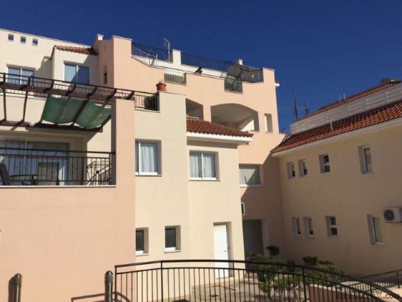 Chloraka Terrace - Cyprus - 2