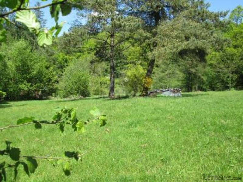 Country House on One Hectare - 2