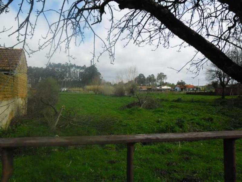 4 Bedrooms Farm For Sale - Aveiro