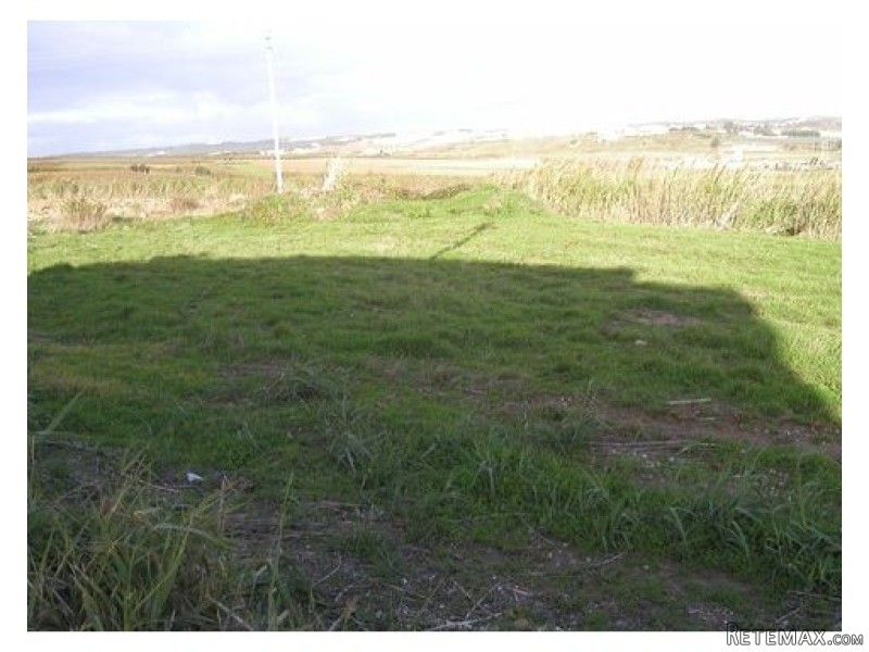 Land , Torres Vedras